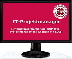 FiGD IT Projektmanager schmal